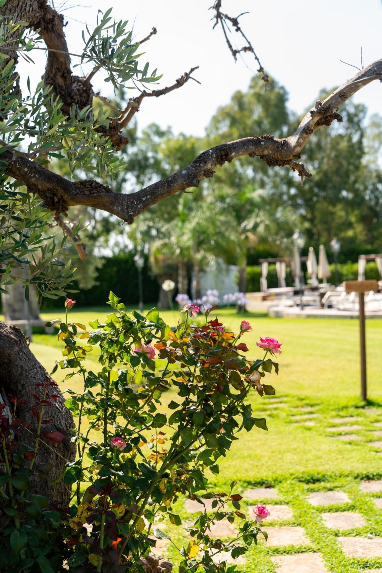 Masseria Giamarra Carpignano Salentino Exteriör bild