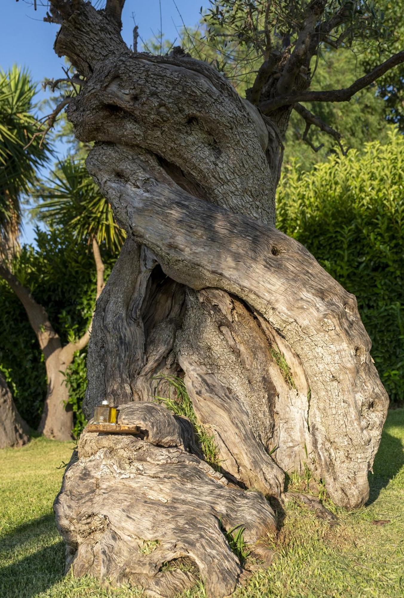 Masseria Giamarra Carpignano Salentino Exteriör bild